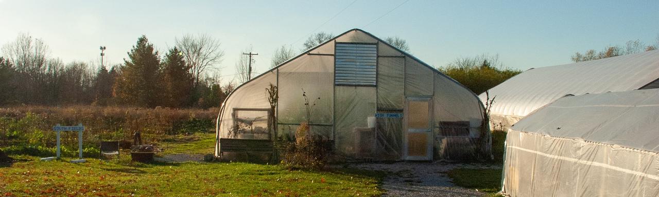 hoop house golden hour